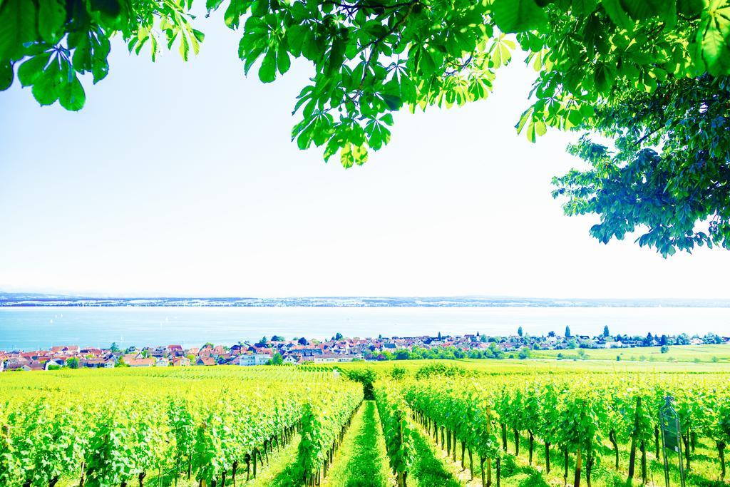 Burgunderhof Bodensee - Adults Only Hagnau Exterior foto